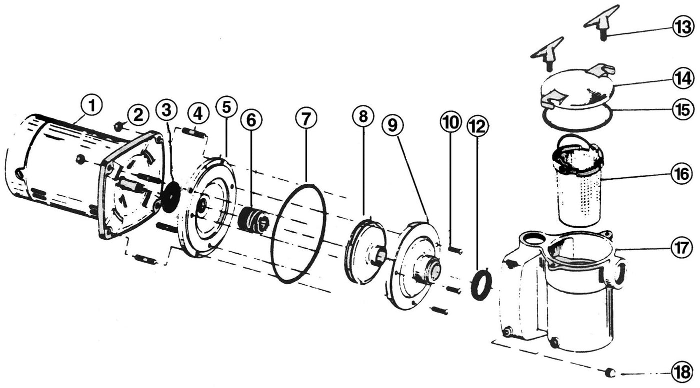 Centrifugal Pump