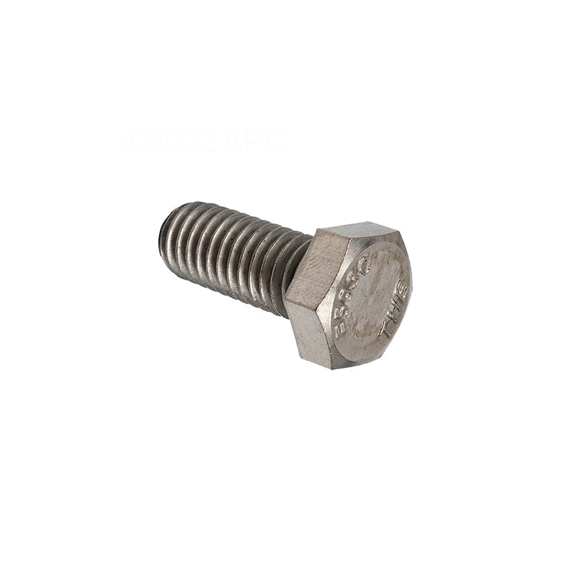 BOLT 3/8 - 16 X 7/8 SS HE