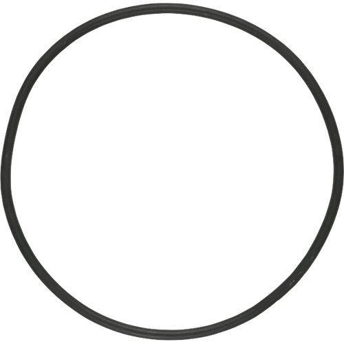 Pentair Oring Manway Ths | B4951