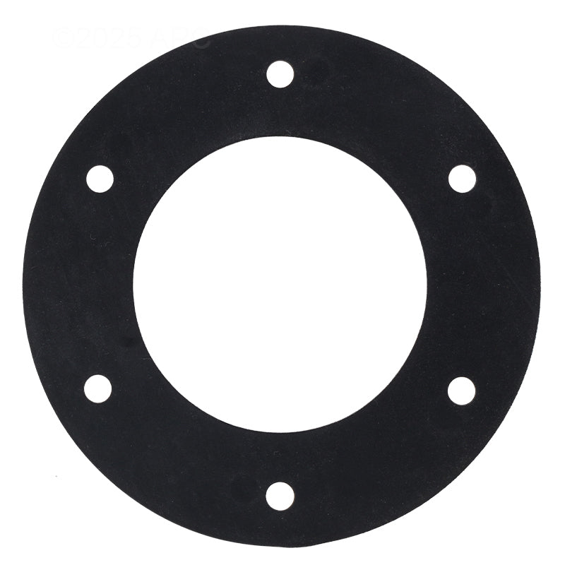 BADUSTREAM FACE RING GASKET