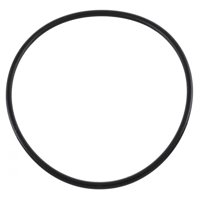 O-RING-CASING 165 X 6MM