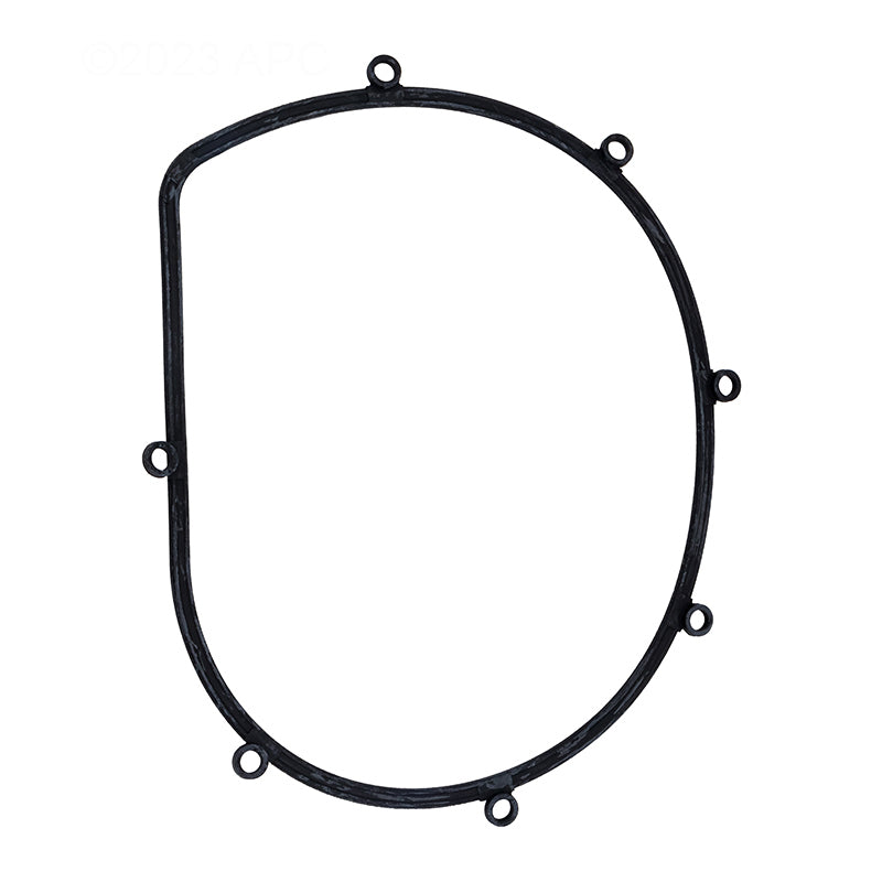 SPECK PUMP GASKET