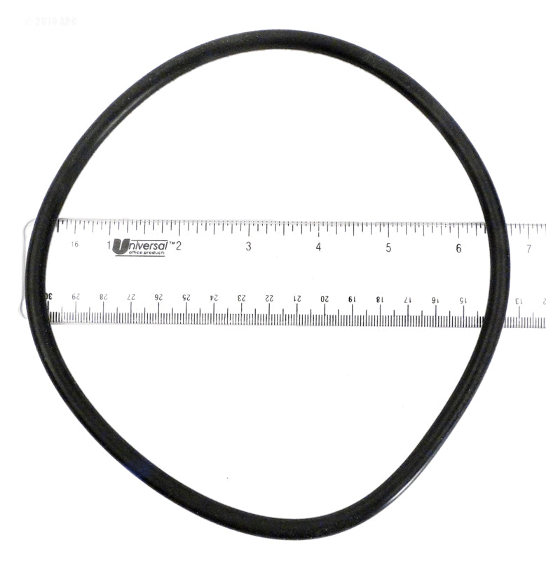 LID / LOCKING RING O-RING