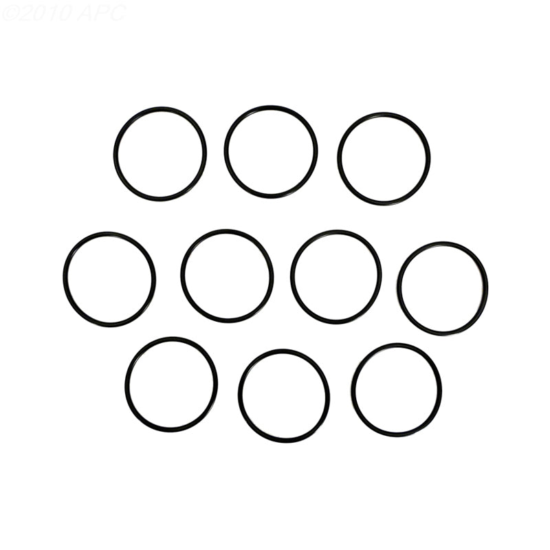 INTELLICHLOR O-RINGS - PACK OF TEN