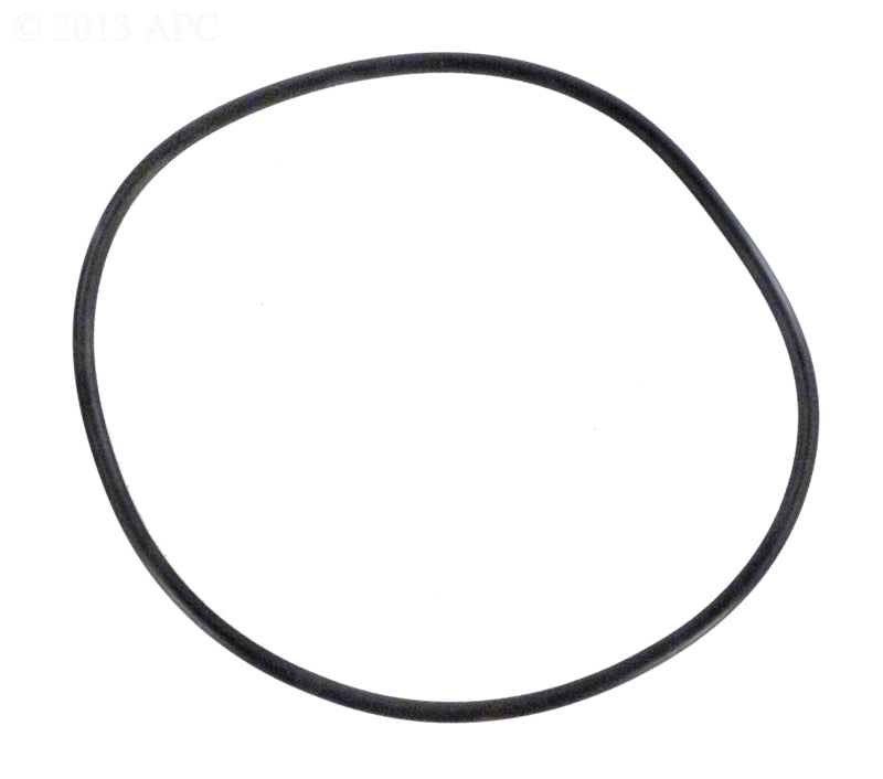 PENTAIR TANK O-RING QUANTUM SS