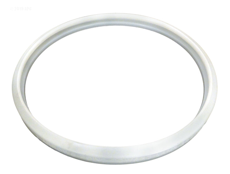 PENTAIR LENS GASKET POOL STAR/