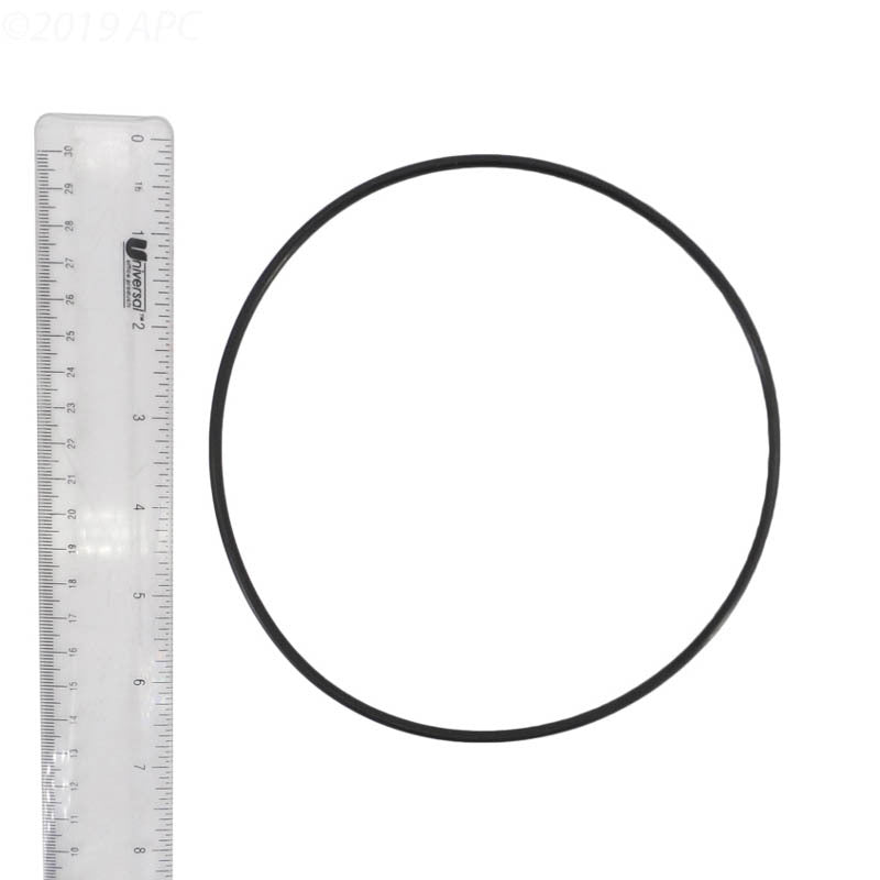PUMP BODY O-RING