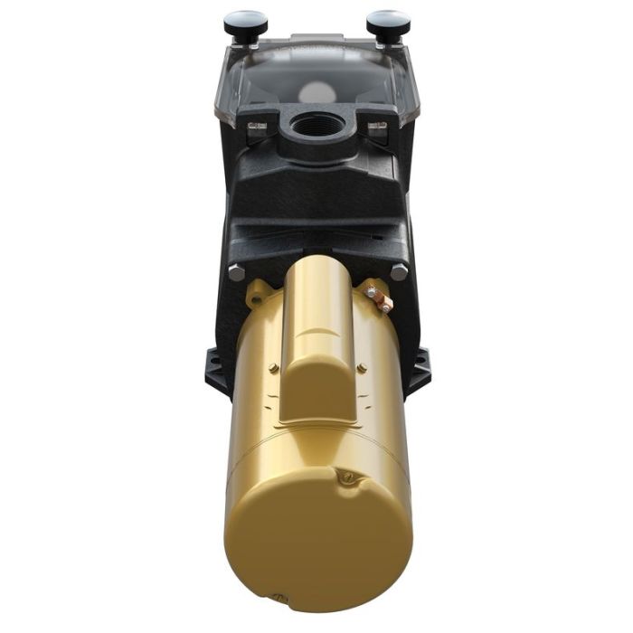 Front view of the Pool Goods 1 HP SUPER PUMP (OL | W3SP2607X10) electric water pump, featuring a black upper casing and a cylindrical gold motor housing at the base.