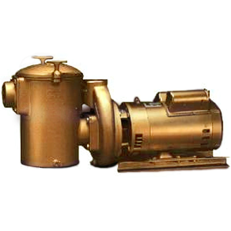 AQUA FLO AC SERIES 5 HP PUMP
