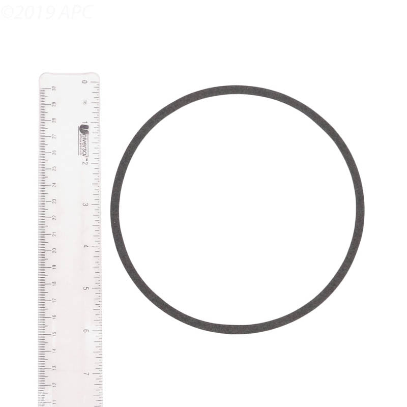C20079 STARITE PUMP GASKET