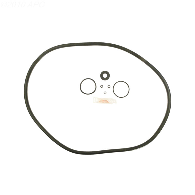 HAYWARD DE720S O-RING KIT