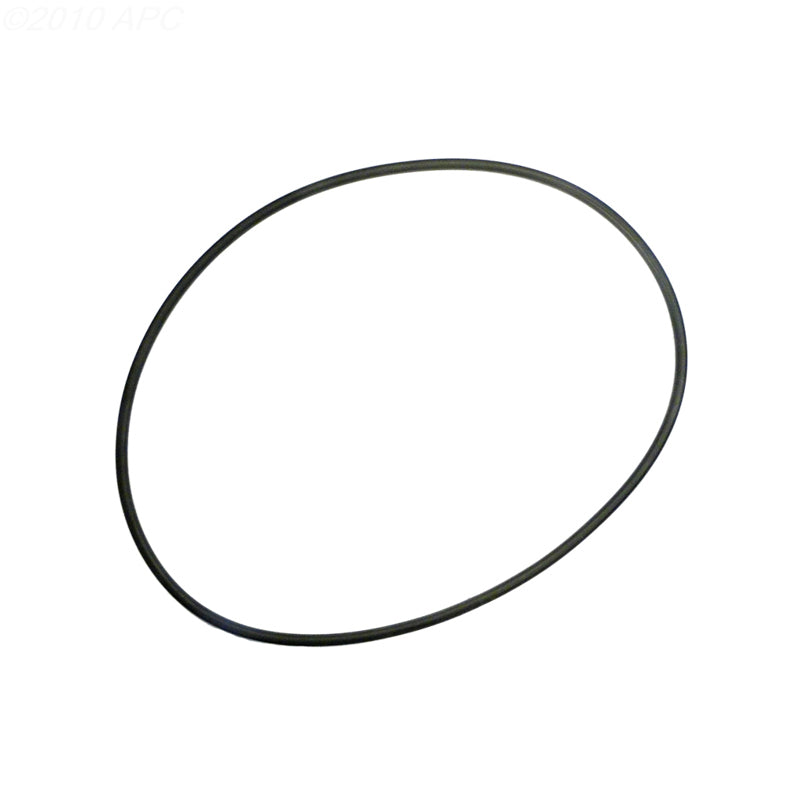 2470072 20" TANK O-RING SWIMQUIP