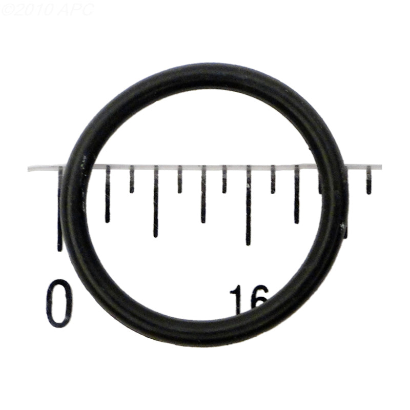 PVD24 O-RING