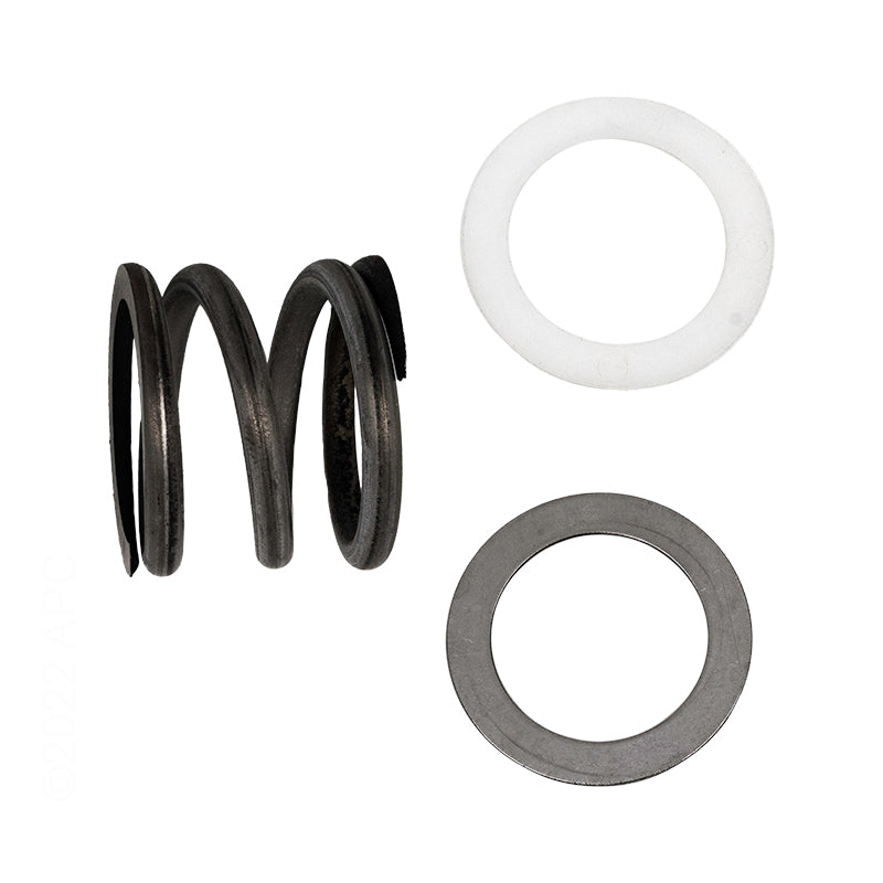 SPRING & WASHER ASSY