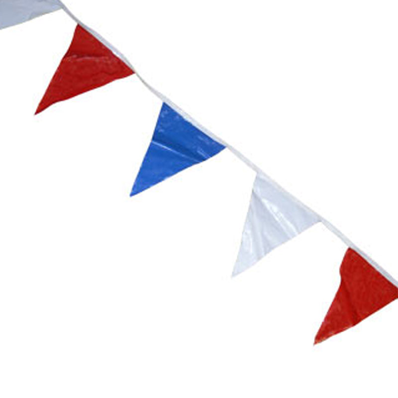 BACK STROKE FLAGS ECONOMY 100'