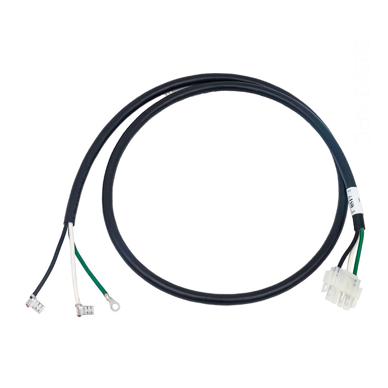 AMP CORD SINGLE SPEED GECKO 4'