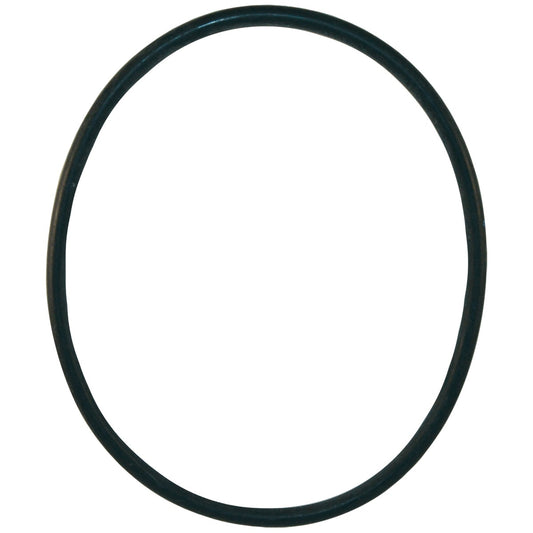 A Hayward Star-Clear II Filter Head O-Ring (CX800F) by HAYWARD, designed for efficient cartridge and pool filter sealing, is displayed against a white background.