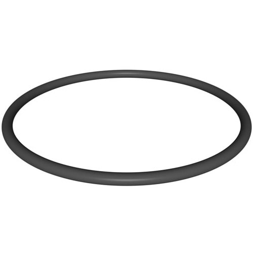 Hayward SwimClear Valve Cap Connector O-Ring | DEX360M