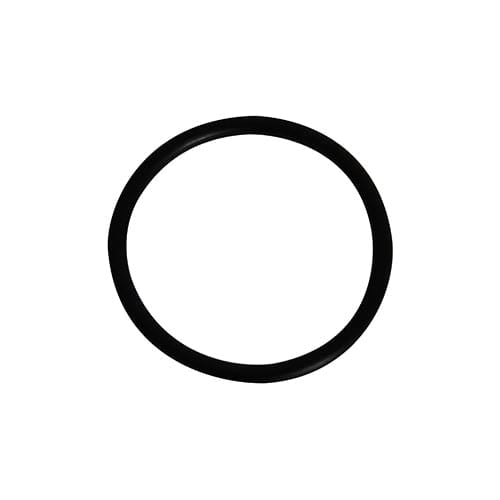 The Hayward SP1022C Plug O-Ring (SPX1022CZ2) by HAYWARD features a black circular design with a thick outline, shown on a white background.