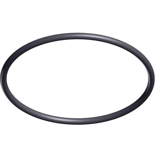 A HAYWARD Hayward TriStar & EcoStar Pump Strainer Cover O-Ring (SPX3200S), made of black rubber, is shown on a white background.