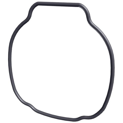 Hayward TriStar & EcoStar Pump Housing O-Ring (SPX3200T) by HAYWARD displayed on a white background.