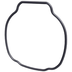 Hayward TriStar & EcoStar Pump Housing O-Ring (SPX3200T) by HAYWARD displayed on a white background.