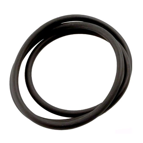 Jandy Pro Series Tank Top O-Ring (R0462700) by Jandy, black rubber, coiled flat on a white background.