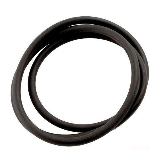 Jandy Pro Series Tank Top O-Ring (R0462700) by Jandy, black rubber, coiled flat on a white background.