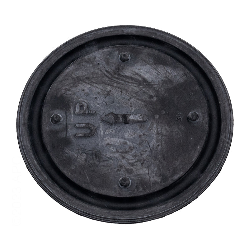 DIAPHRAGM
