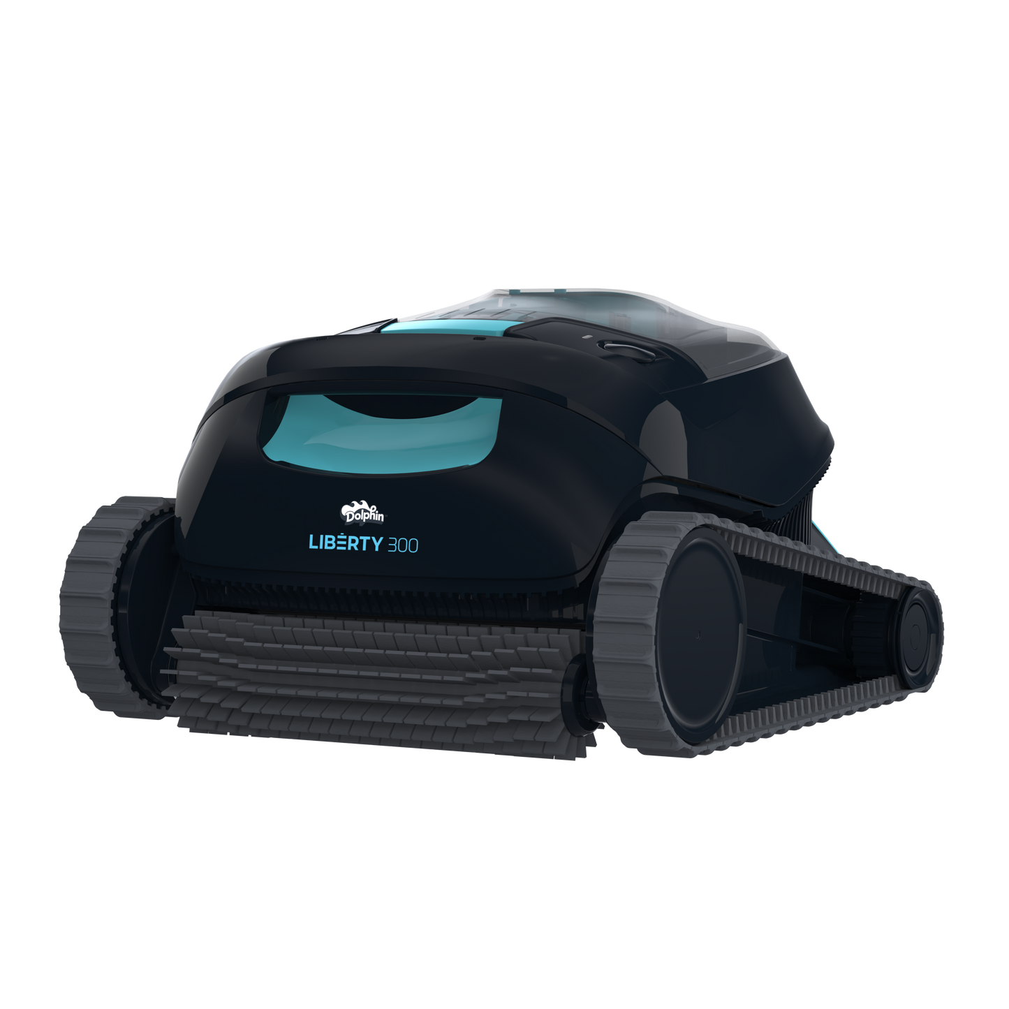 Dolphin Liberty 300