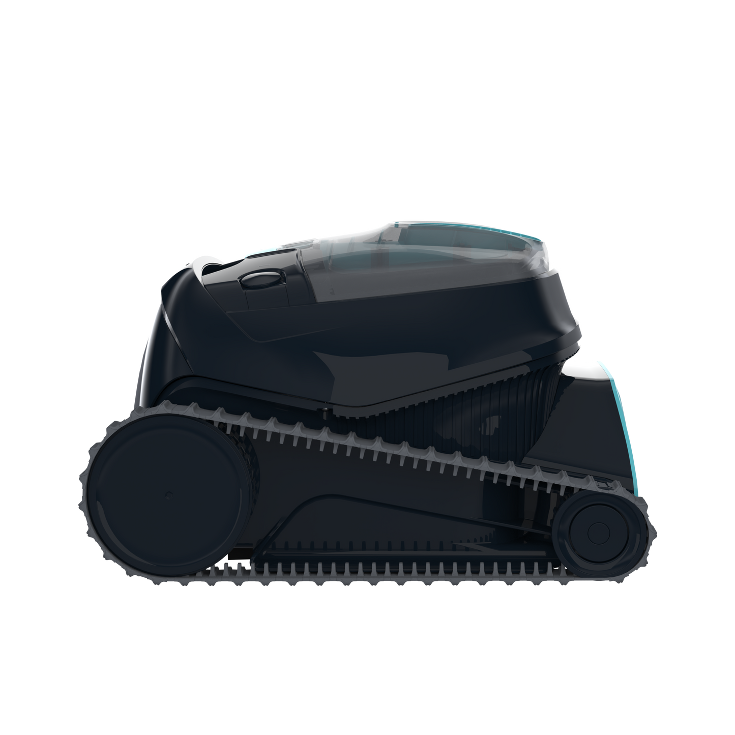 Dolphin Liberty 300