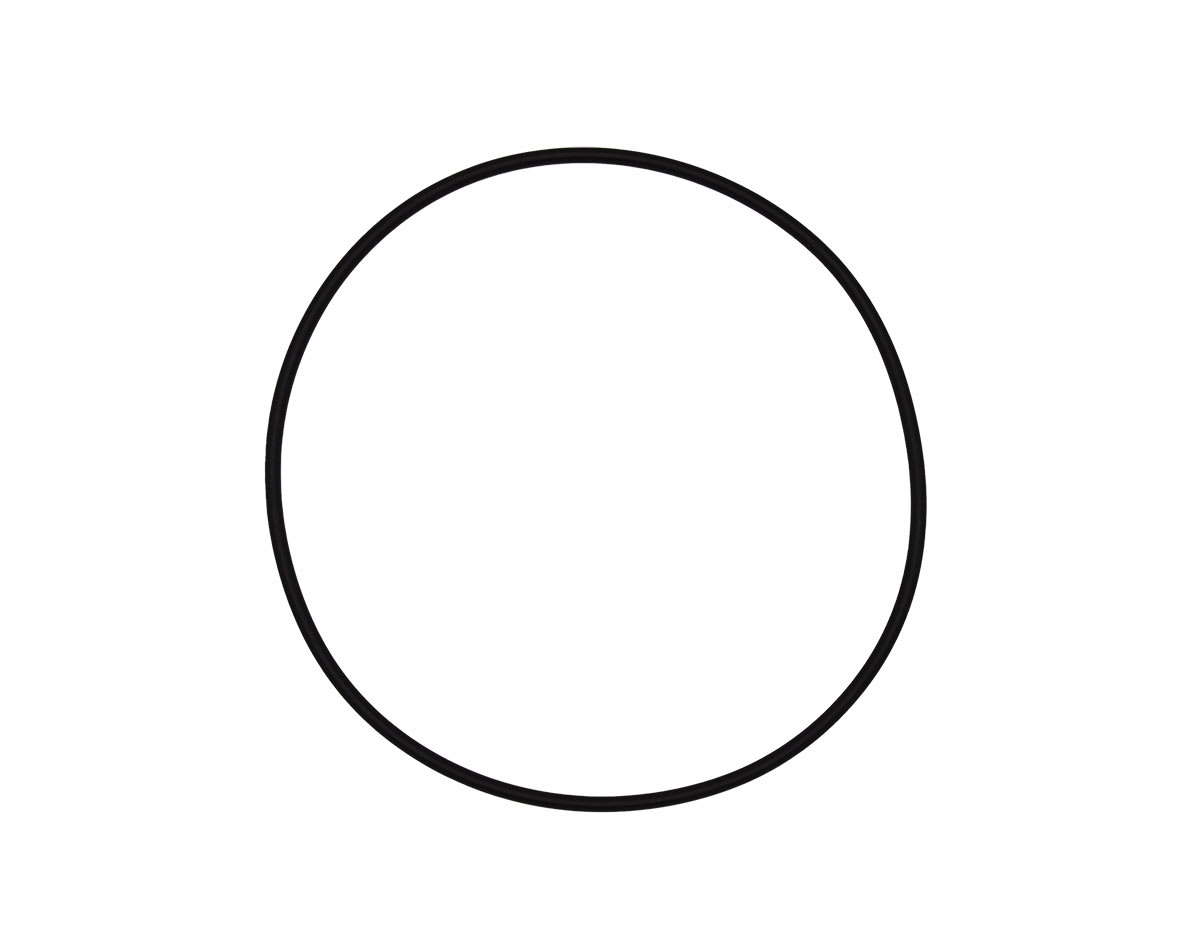 Pentair Tagelus/Triton Lid O-Ring | 152517