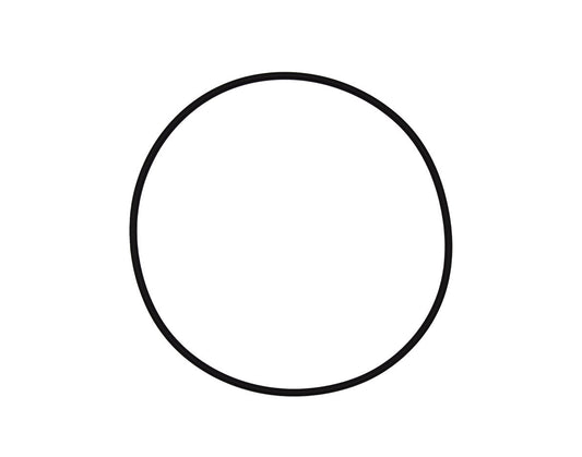 Pentair Tagelus/Triton Lid O-Ring | 152517