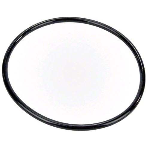 A Pentair Pump Lid O-Ring, model 350013Z, in black rubber displayed on a white background.