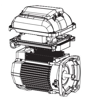Exploded technical drawing of the Pentair SuperMax VS Pump Motor Package w/o Drive TEFC Black (353135S) by Pentair, showing its main components separated for clarity.