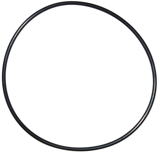 The Pentair Seal Plate O-Ring U9-228AZ, shown on a white background, is black and made of rubber.