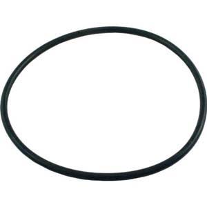 The Pentair Valve Flange O-Ring | U9-369, a black rubber ring from Pentair, is displayed on a white background.
