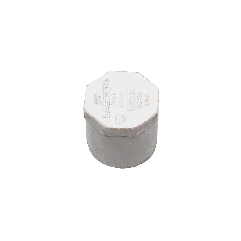 1.25" SPIGOT PLUG SCHEDULE 40