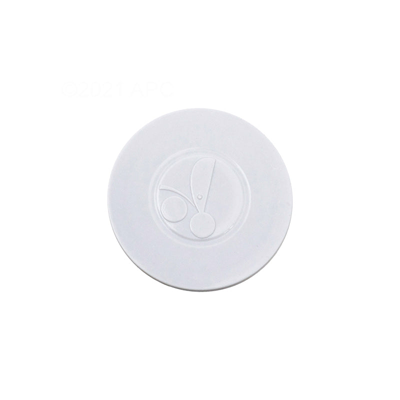 HUB CAP-POLARIS