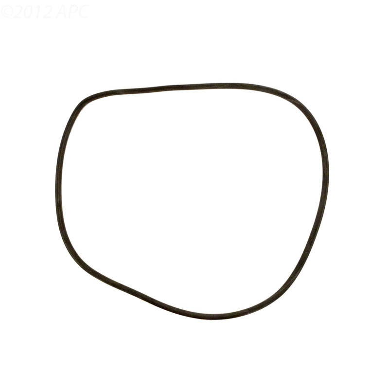 Jandy Pro Series Tank O-Ring | R0357800
