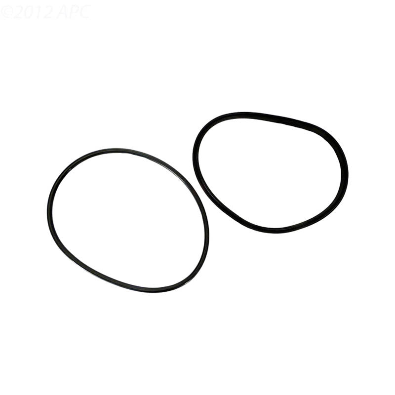 Jandy Pro Series Lid Seal & O-Ring | R0446200