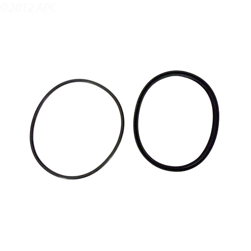 Jandy Pro Series Lid Seal & O-Ring | R0449100