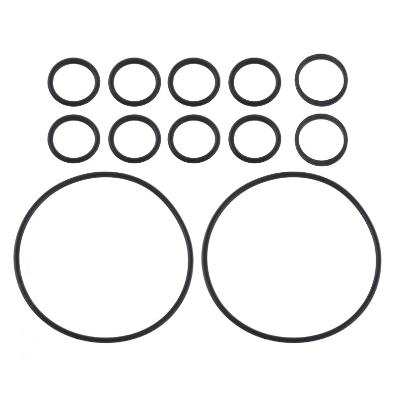 Jandy Never Lube Backwash Valve O-Ring Kit | R0552400