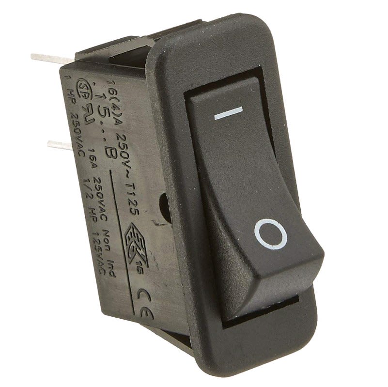 Raypak Heater Rocker Switch | 009493F