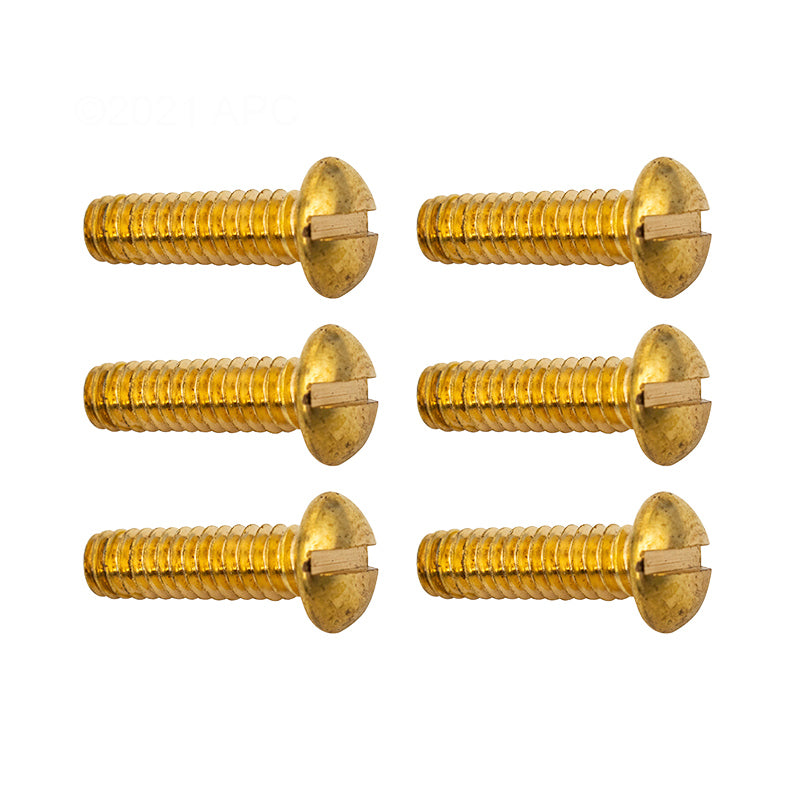 Hayward Underwater Light Securing Rim Screws, 6/Pack | SPX0502Z66