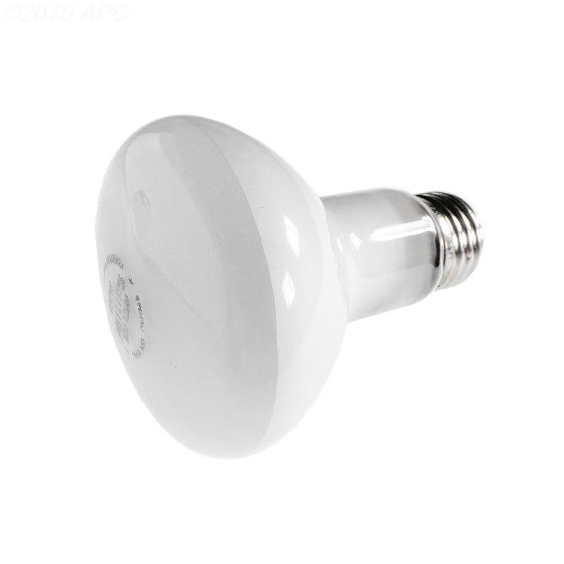 BULB, 100WATT, 115V