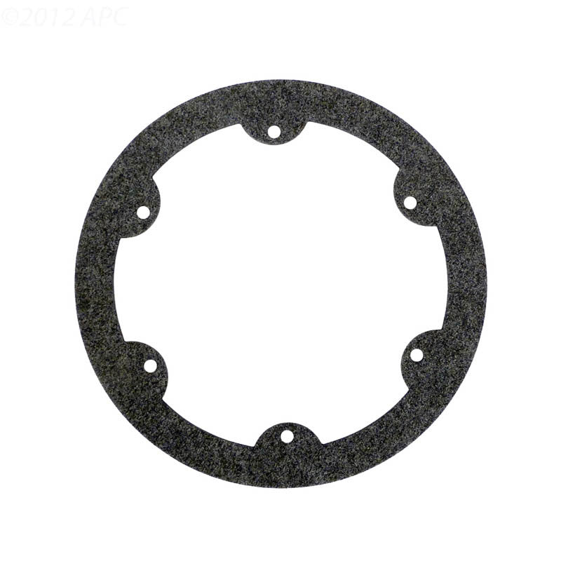 Hayward Face Ring Gasket | SPX0608G