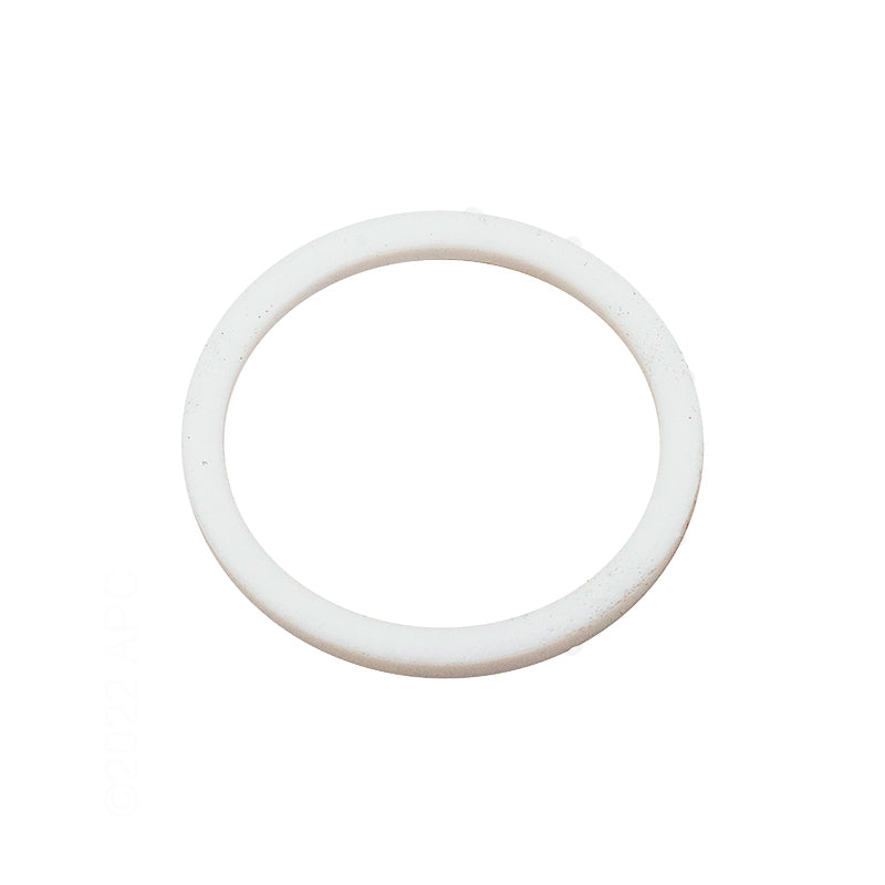 Hayward Teflon Ball Seal, 2/Pack | SPX0720P2