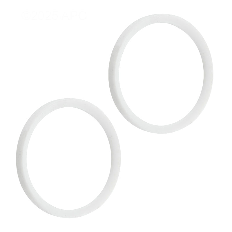 Hayward Teflon Ball Seal, 2/Pack | SPX0722P2