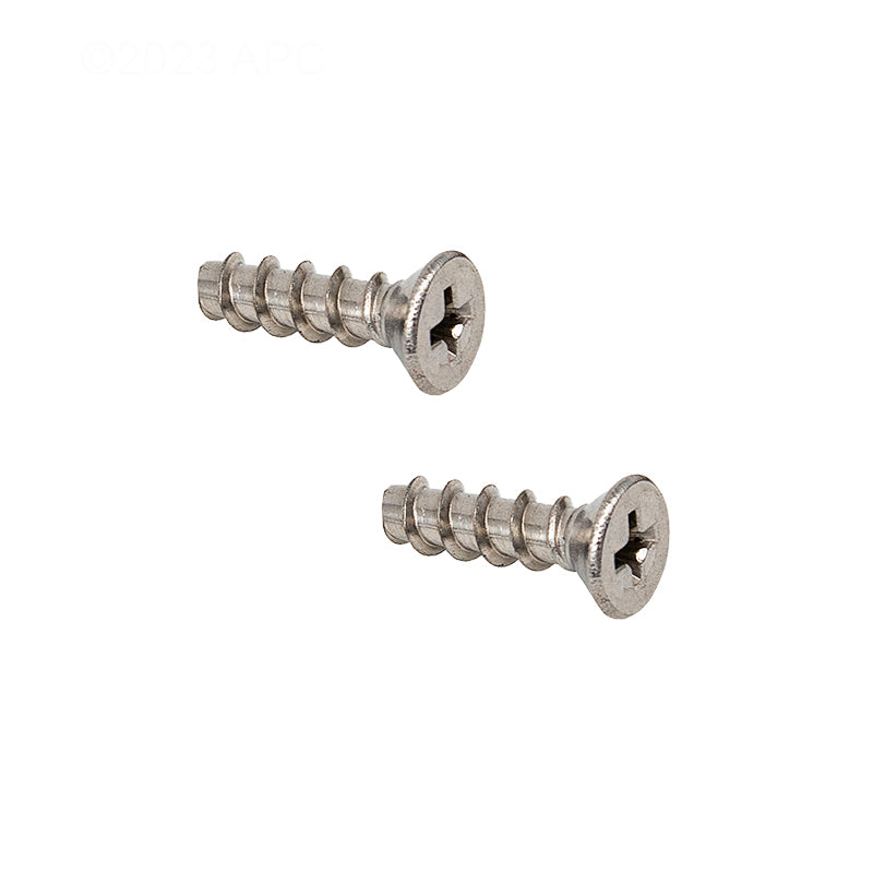 Hayward Grate Screw Set, 2/Pack | SPX1425Z32